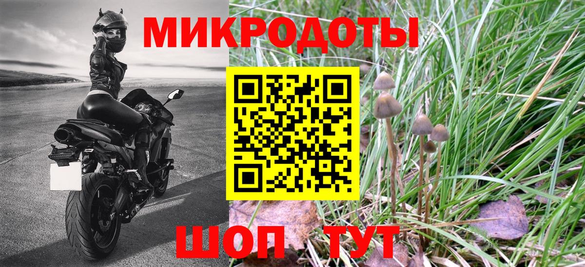 Сосновоборск  Псилоцибиновые грибы MAGIC MUSHROOMS  Вход с VPN 