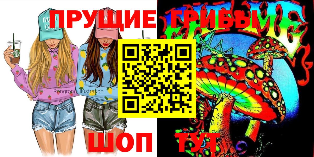 Псилоцибиновые грибы Cubensis Сосновоборск